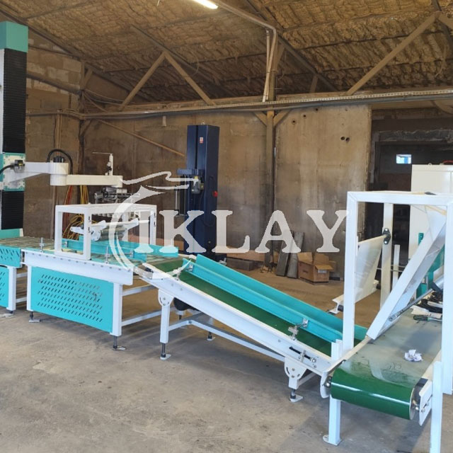 Palletizing Line(Palletizer)